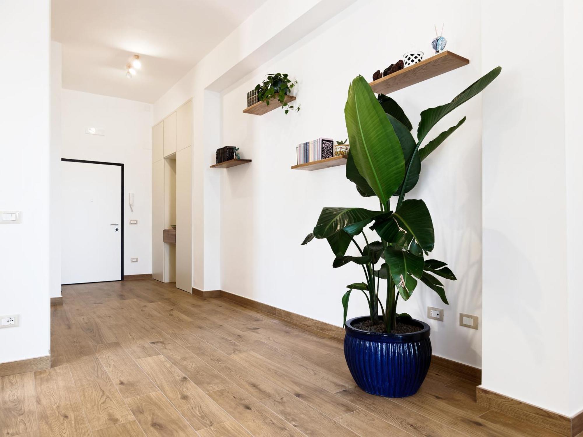 Susanna Boutique Home Vico Equense Exterior foto