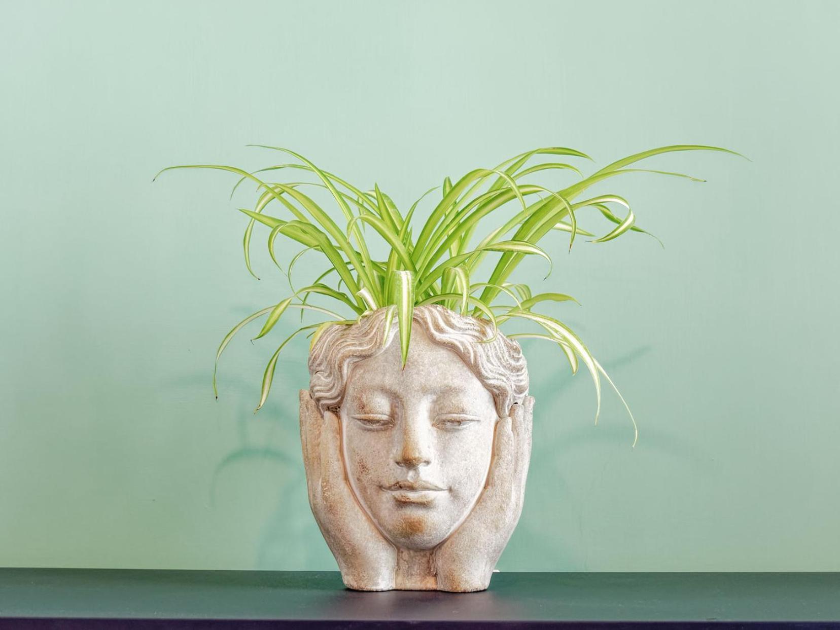 Susanna Boutique Home Vico Equense Exterior foto